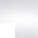 RAL9010 - Blanc brillant