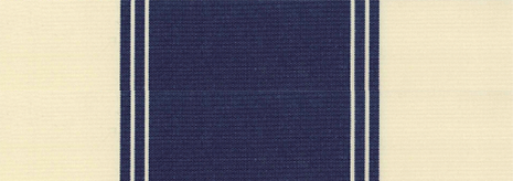 Toile Telya 2 Bleu / Crème T312BLE101