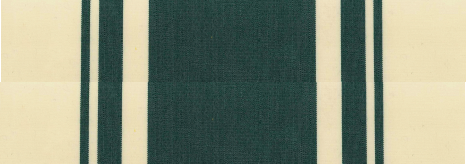 Toile Telya 2 Vert bouteille / Crème T325VLE101