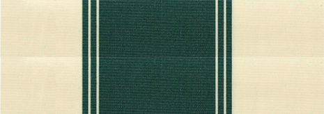 Toile Telya 2 Vert bouteille / Crème T512VLE101