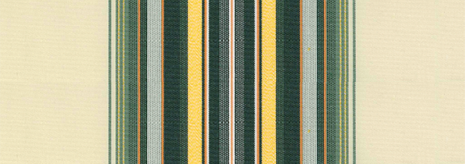 Toile Telya 2 Vert forêt / Jaune T554VLE101